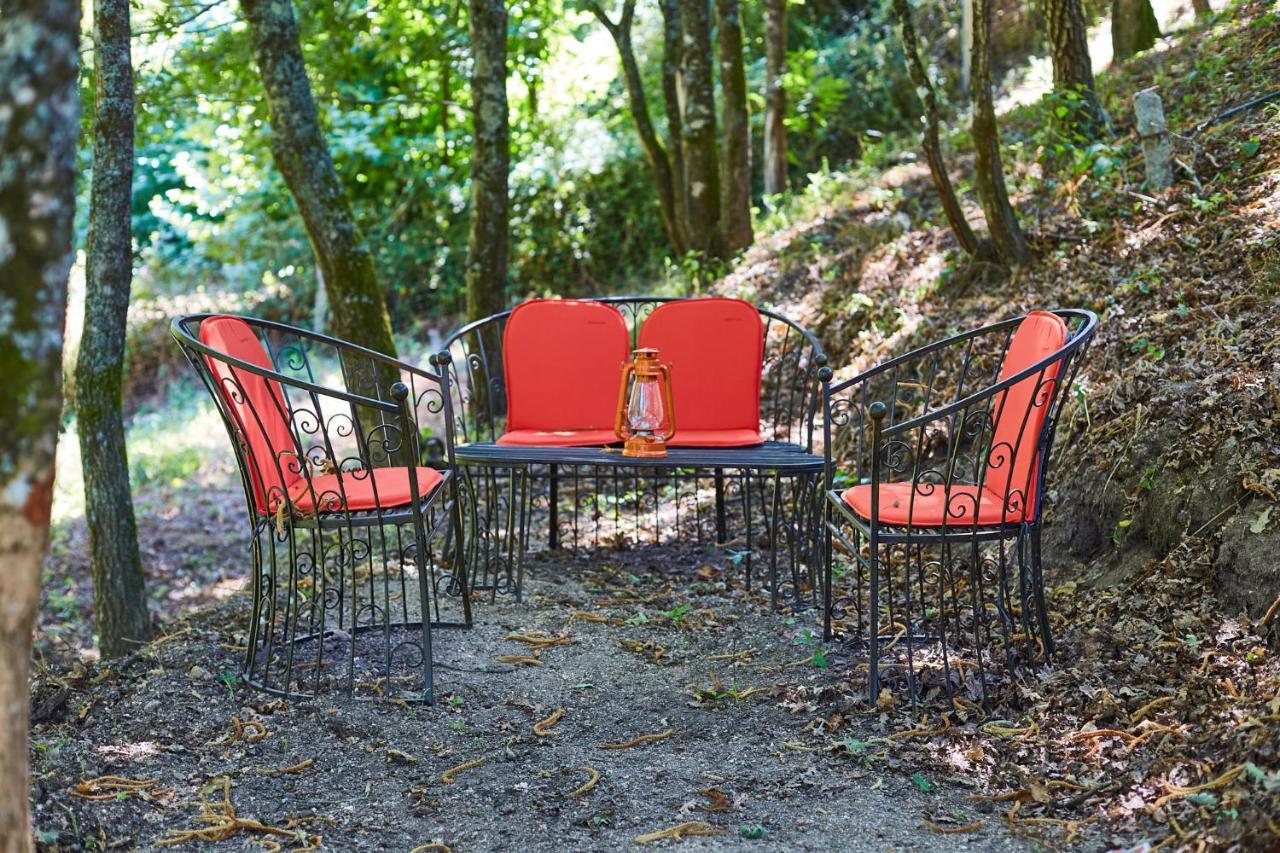Quinta Do Lordelo Turismo Rural 페나피엘 외부 사진