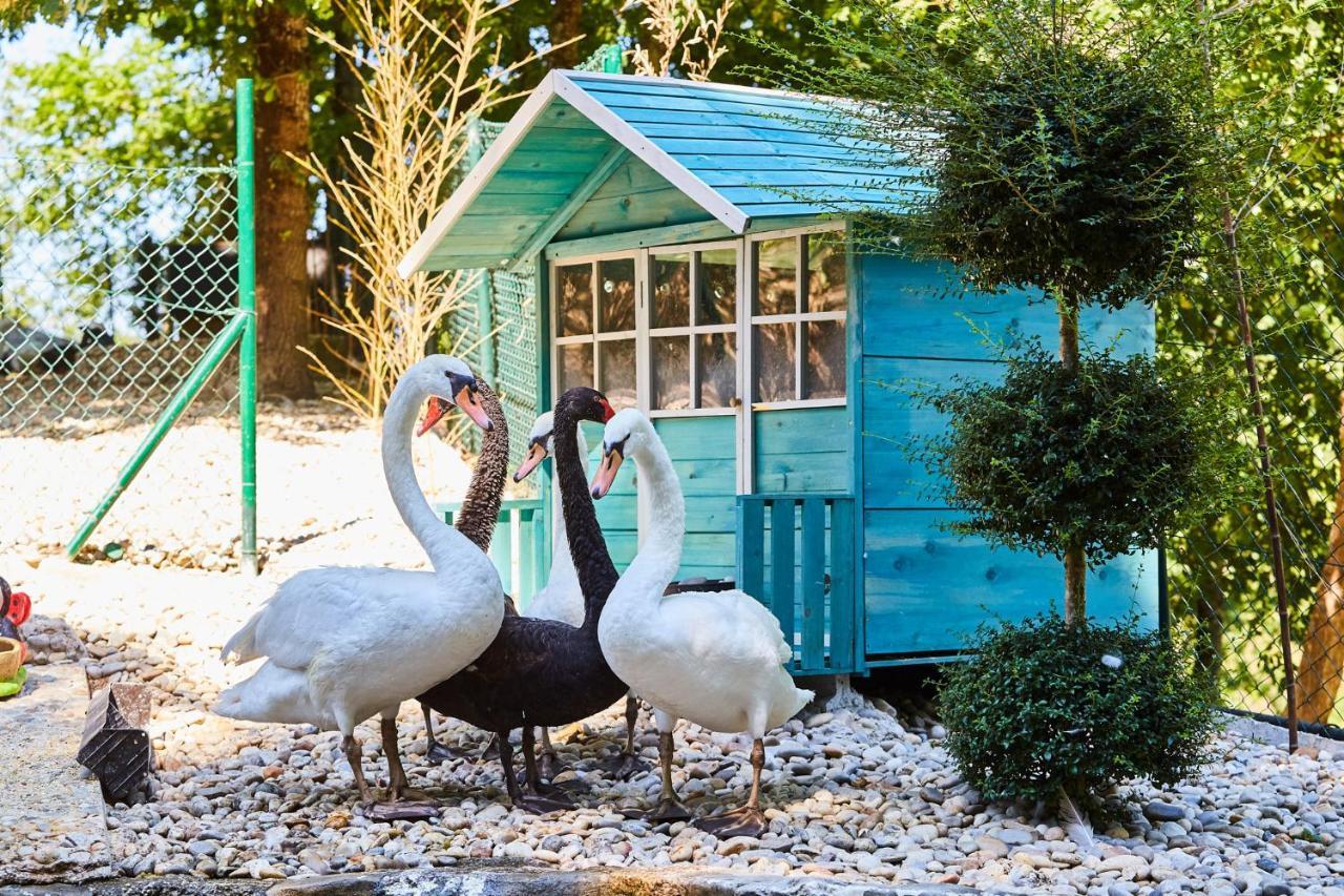 Quinta Do Lordelo Turismo Rural 페나피엘 외부 사진